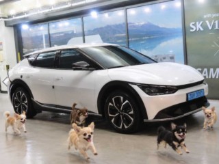EV6 롱레인지 AWD 2022년 7월 중고차